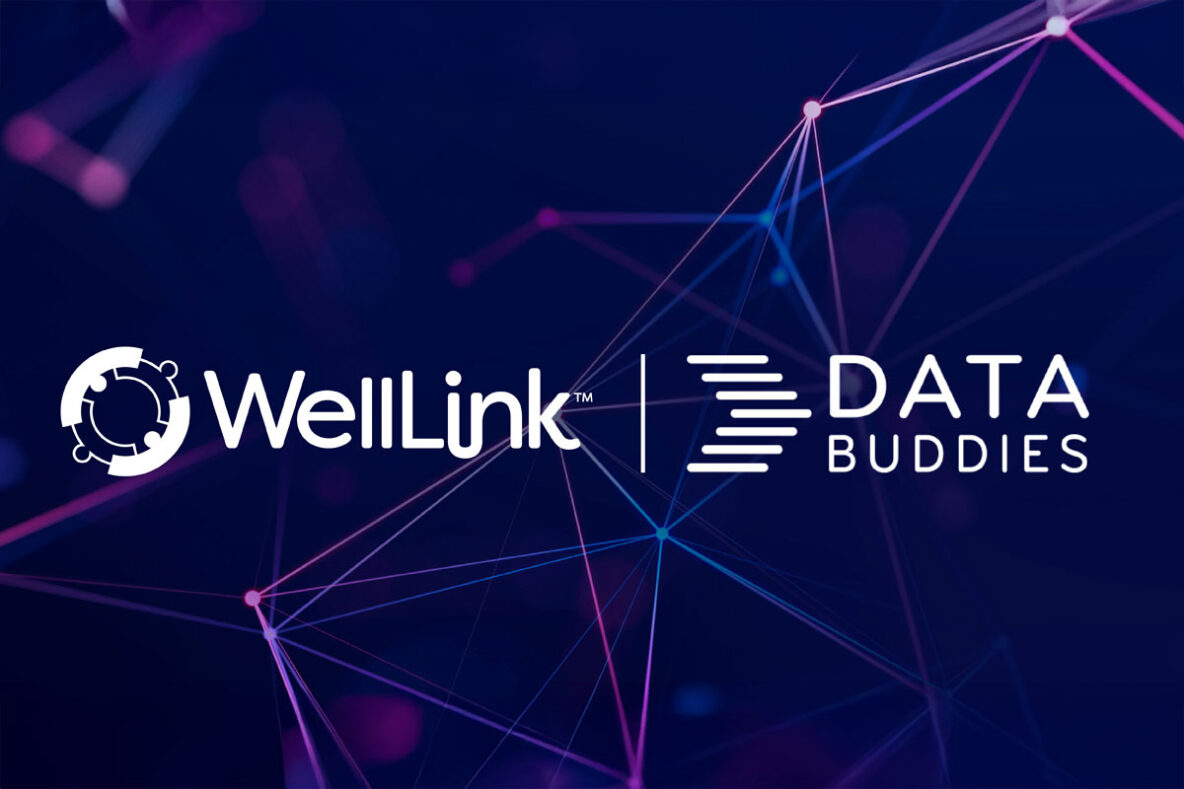 Data Buddies and WellLink Team to Deliver Analytic and AI Solutions to Optimize Healthcare Management and Community Well-Being